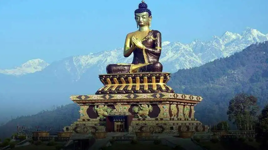 Company formation and compliance support